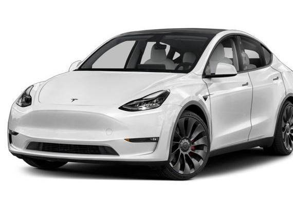 TESLA MODEL Y 2023 7SAYGAEE9PF647648 image
